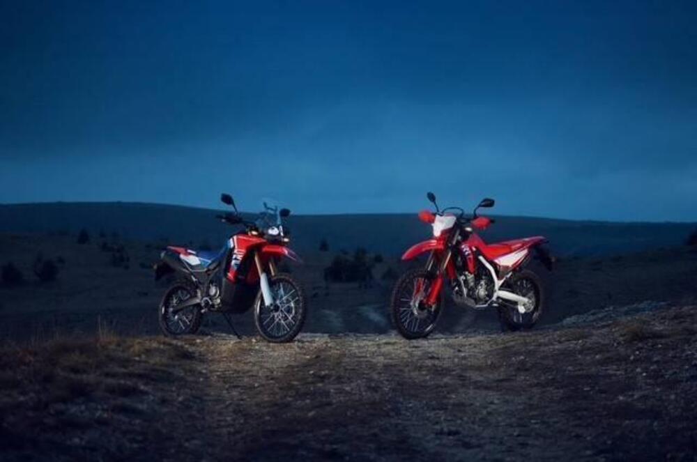 Honda CRF 300 Rally (2025) (3)