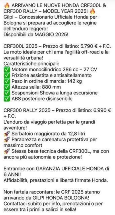 Honda CRF 300 Rally (2025) (4)