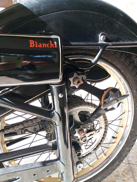 Bianchi Stelvio (3)