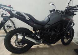 Honda Transalp XL750 (2023 - 24) usata