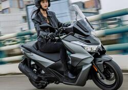 Voge Sfida SR3 (2024 - 25) nuova