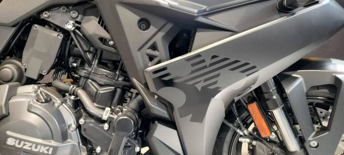 Suzuki GSX-8R (2024 - 26) (5)