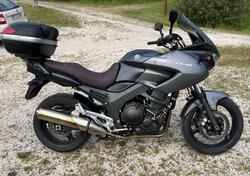 Yamaha TDM 900 (2002 - 14) usata