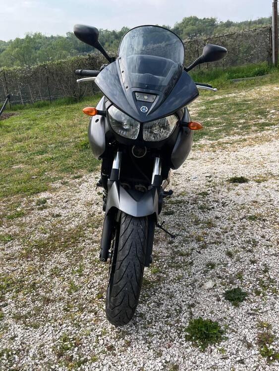 Yamaha TDM 900 (2002 - 14) (3)