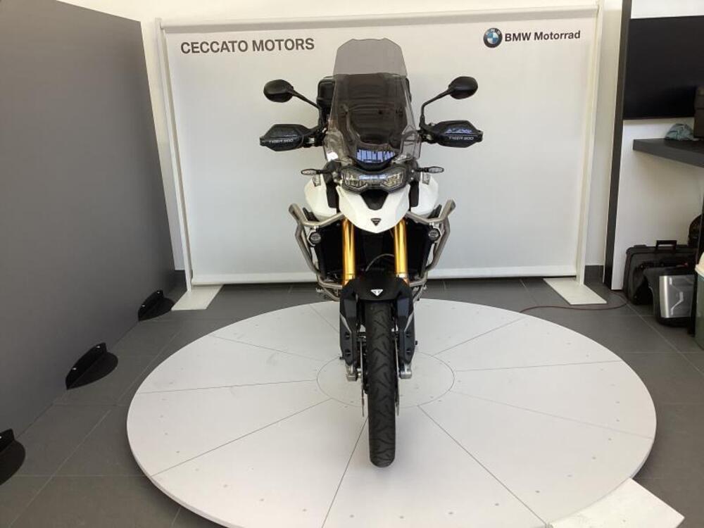 Triumph Tiger 900 (2)