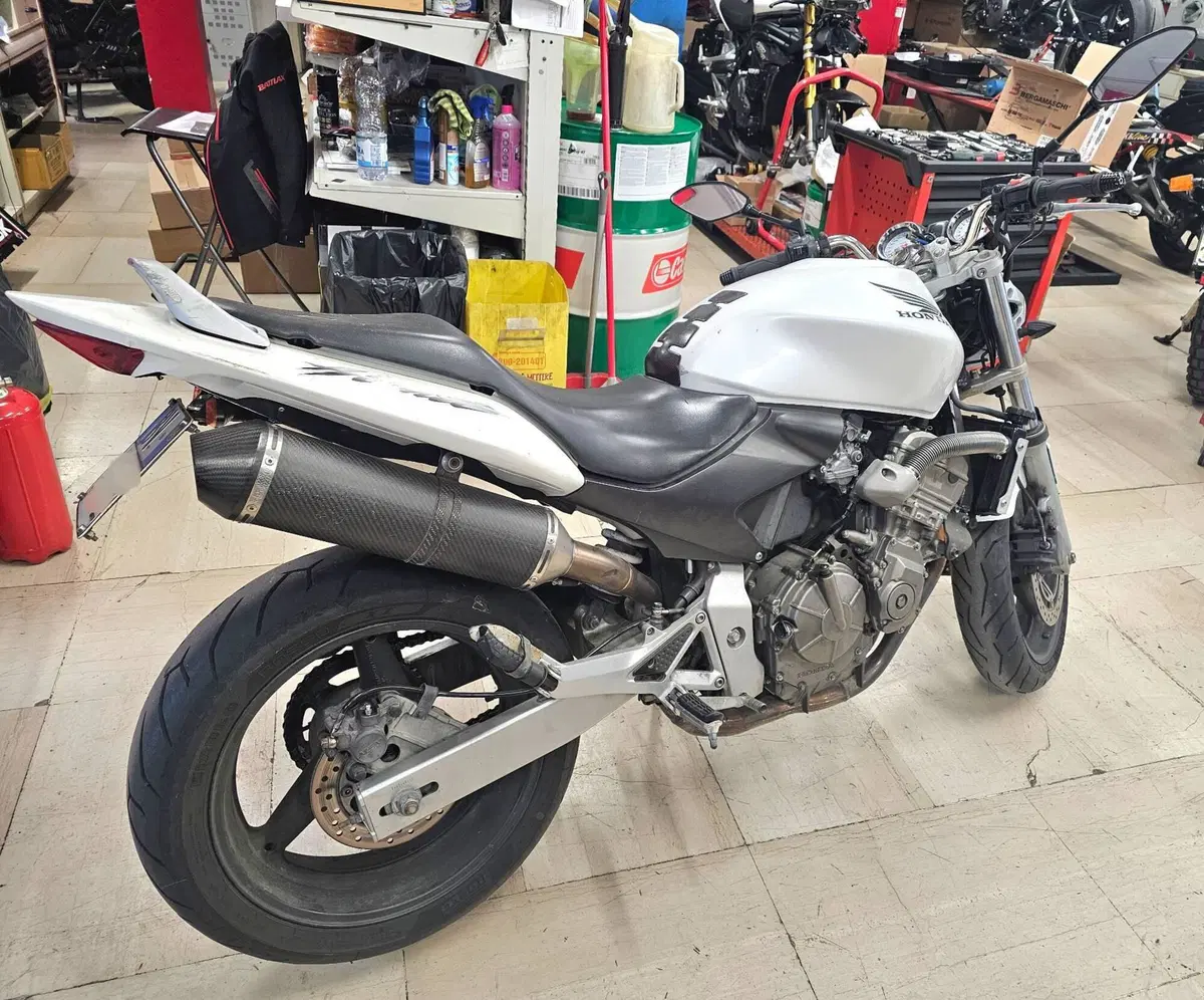 Honda Hornet 600 (2003 - 04) (6)