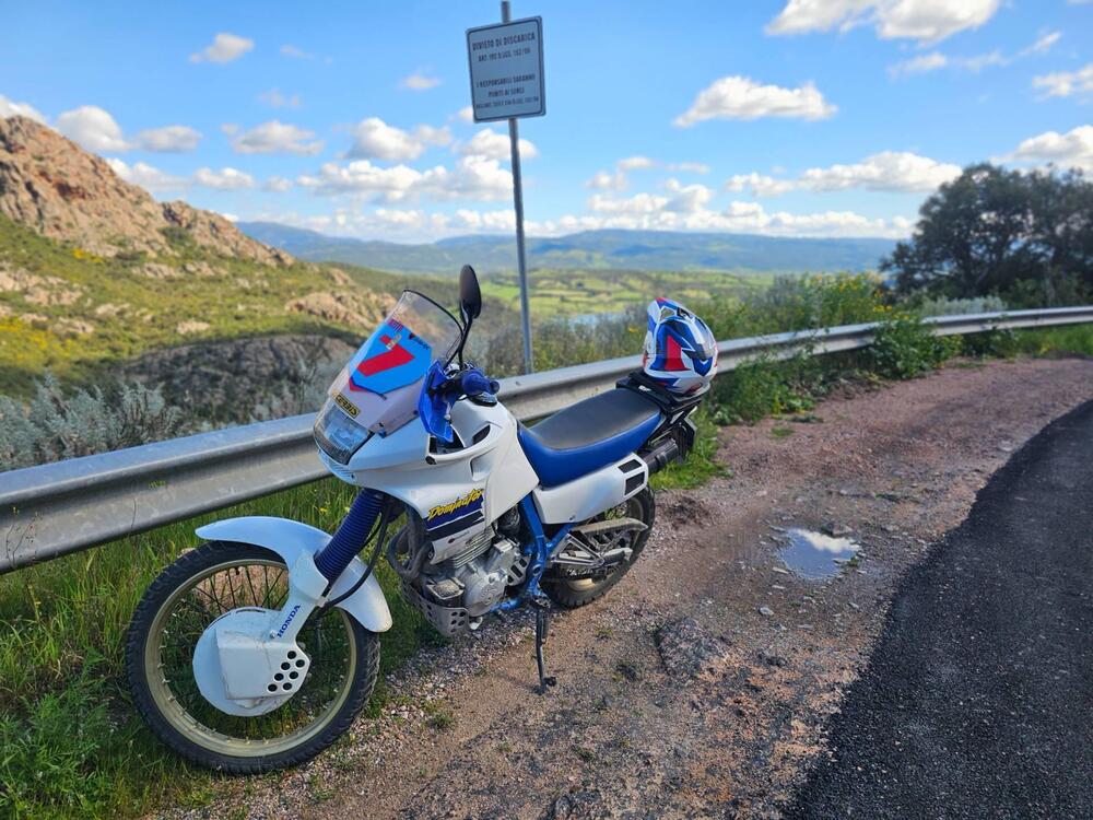 Honda NX 650 Dominator (1988 - 90)