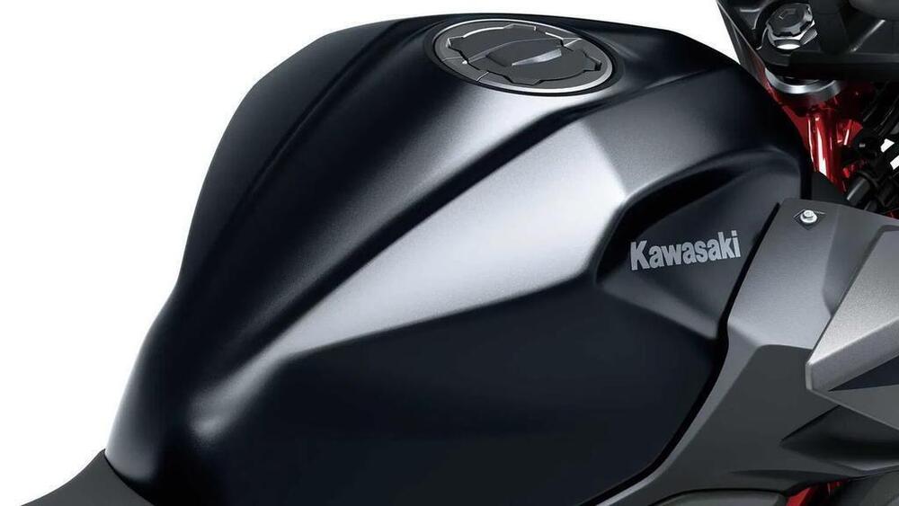 Kawasaki Z 500 SE (2024 - 26) (5)