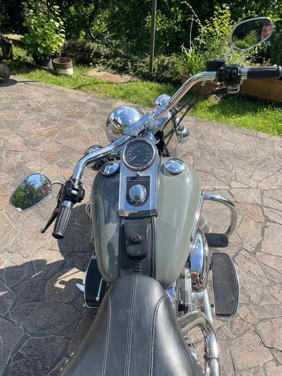 Harley-Davidson 1584 Heritage Classic (2008 - 10) - FLSTC (2)