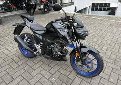 Suzuki GSX-S125 (2022 - 24) usata