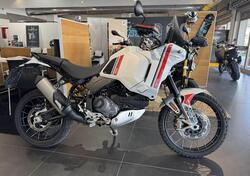 Ducati DesertX (2022 - 25) usata