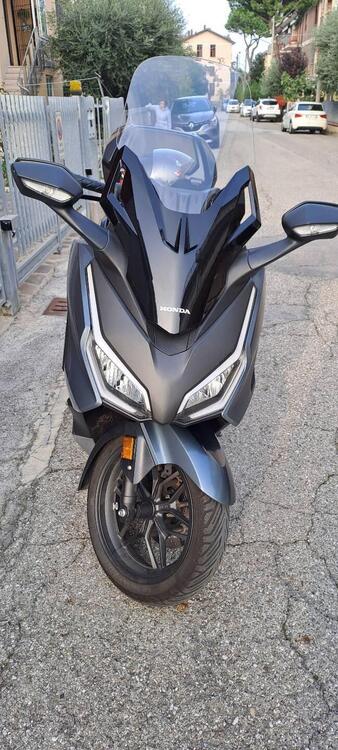 Honda Forza 350 Deluxe (2022 - 24) (3)