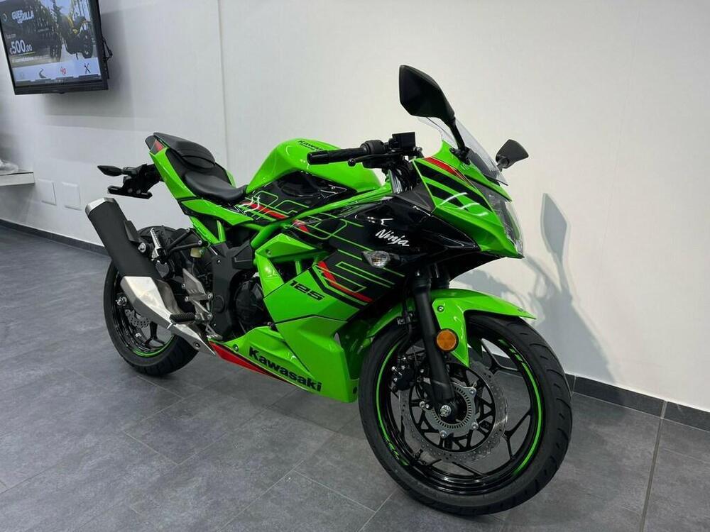 Kawasaki Ninja 125 (2019 - 20) (4)