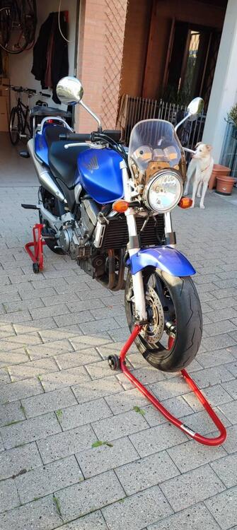 Honda Hornet 900 (3)
