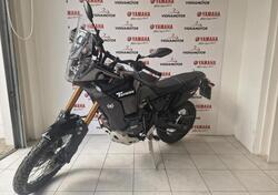 Yamaha Ténéré 700 World Raid (2022 - 25) usata