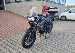 Triumph Tiger 800 XR (2015 - 17) usata