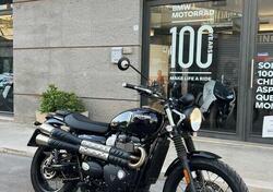 Triumph Street Scrambler 900 (2017 - 18) usata