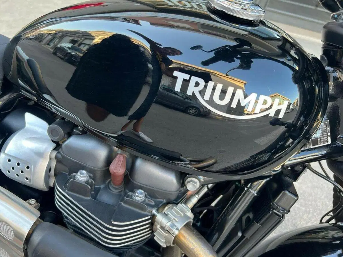 Triumph Street Scrambler 900 (2017 - 18) (3)