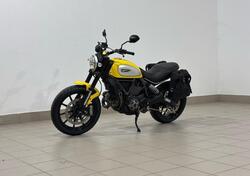 Ducati Scrambler 800 Icon (2015 - 16) usata