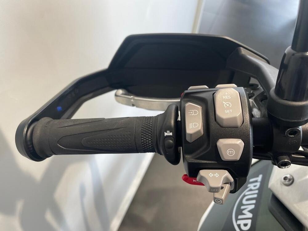 Triumph Tiger 900 Rally Pro (2020 - 23) (4)