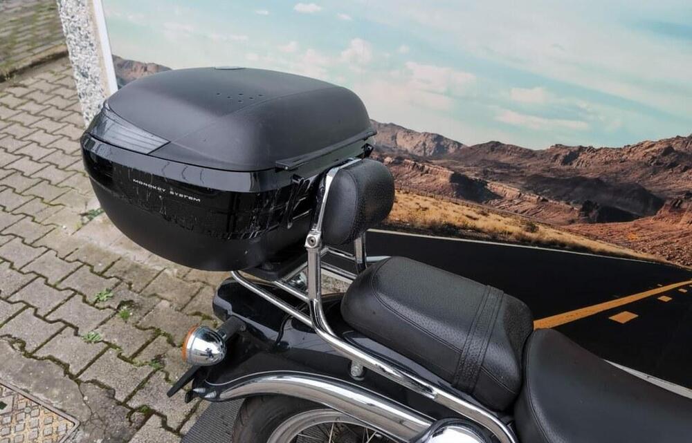 Moto Guzzi California 1100 EV (2000 - 02) (5)