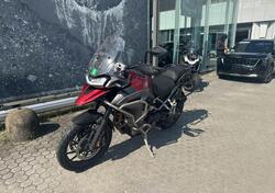 Triumph Tiger 1200 GT Explorer (2024 - 25) usata