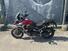 Triumph Tiger 1200 Rally Pro (2022 - 23) (7)