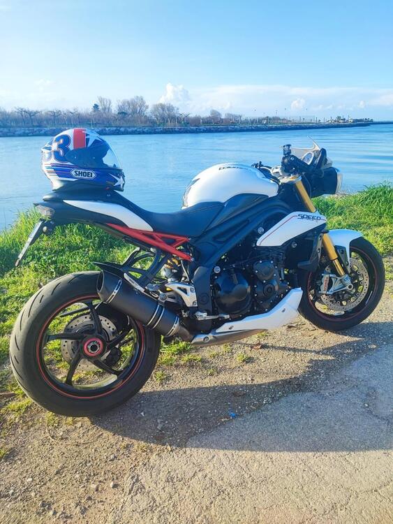 Triumph Speed Triple 1050 R ABS (2011 - 15) (4)