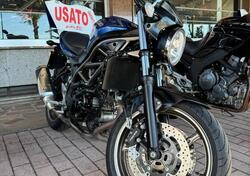 Suzuki SV650 (2021 - 24) usata