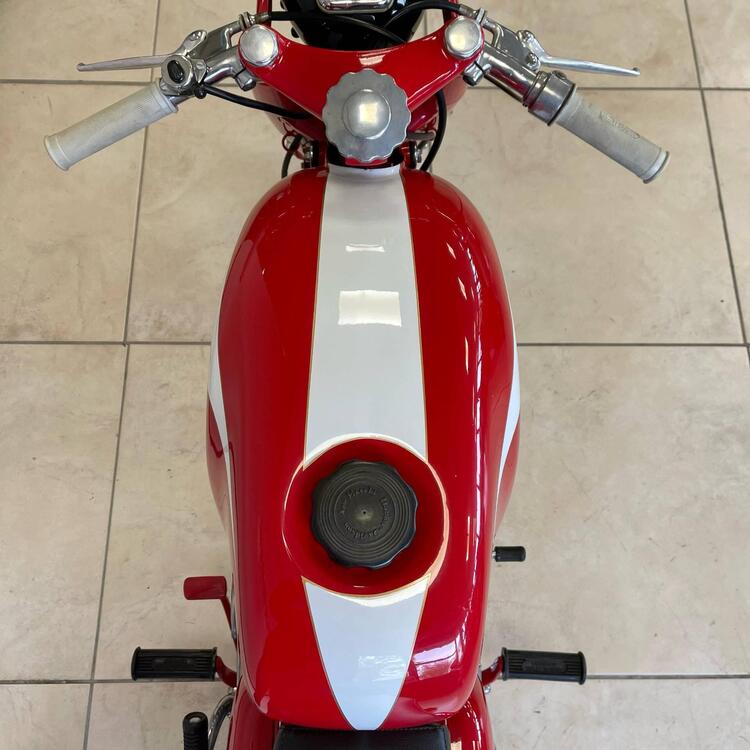 Aermacchi Harley-Davidson HARLEY-DAVIDSON ALA VERDE (3)