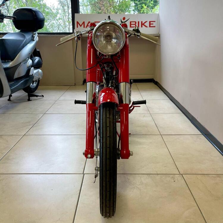 Aermacchi Harley-Davidson HARLEY-DAVIDSON ALA VERDE (4)