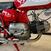 Aermacchi Harley-Davidson HARLEY-DAVIDSON ALA VERDE (9)