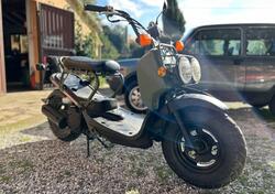 Honda Zoomer usata