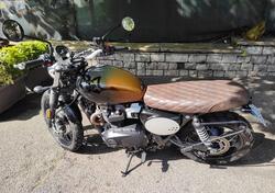 Triumph Scrambler 900 Stealth Edition (2024) usata