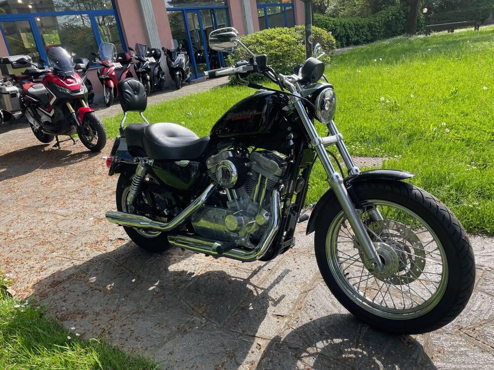 Harley-Davidson 883 Low (2006 - 07) - XL 883L (2)