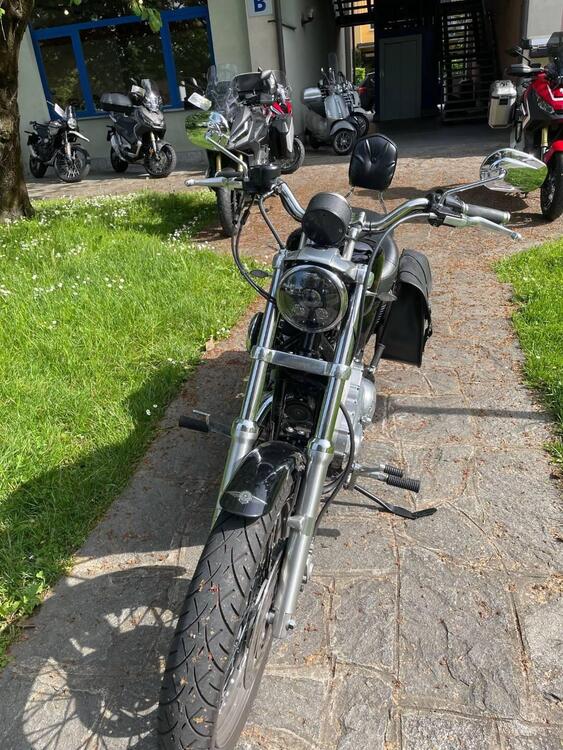 Harley-Davidson 883 Low (2006 - 07) - XL 883L (5)