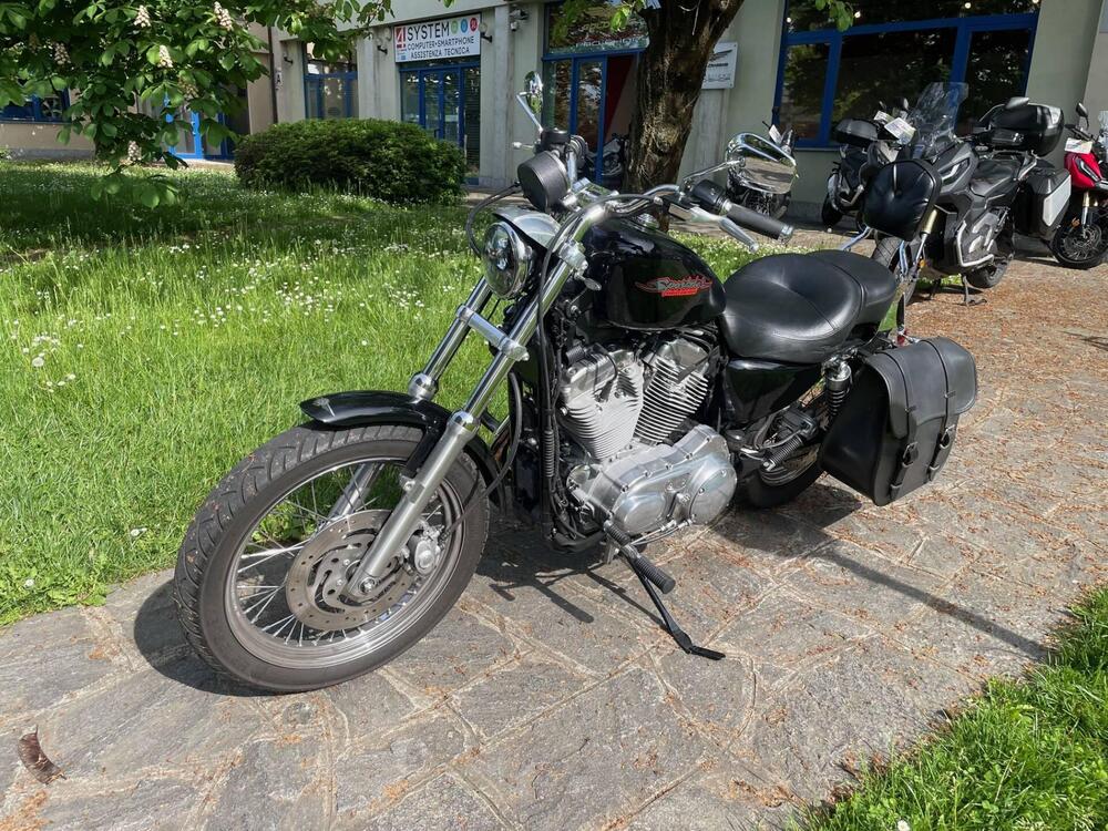 Harley-Davidson 883 Low (2006 - 07) - XL 883L (4)