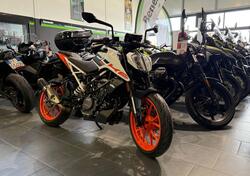 KTM 125 Duke (2024 - 25) usata