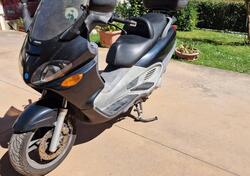 Piaggio X9 250 (2000 - 01) usata