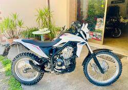Betamotor Alp 4.0 (2024 - 25) usata