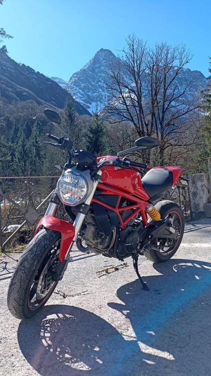 Ducati Monster 797 (2017 - 18) (2)
