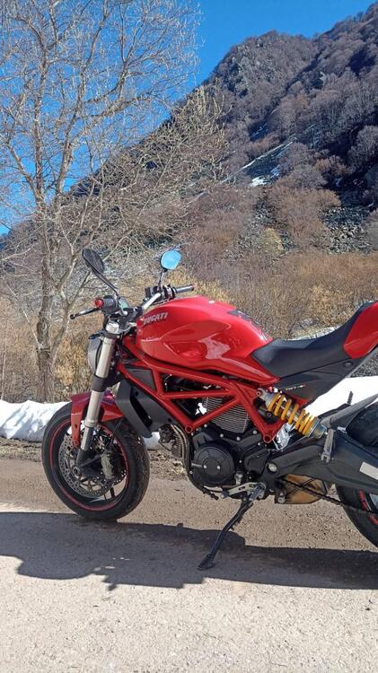 Ducati Monster 797 (2017 - 18) (3)