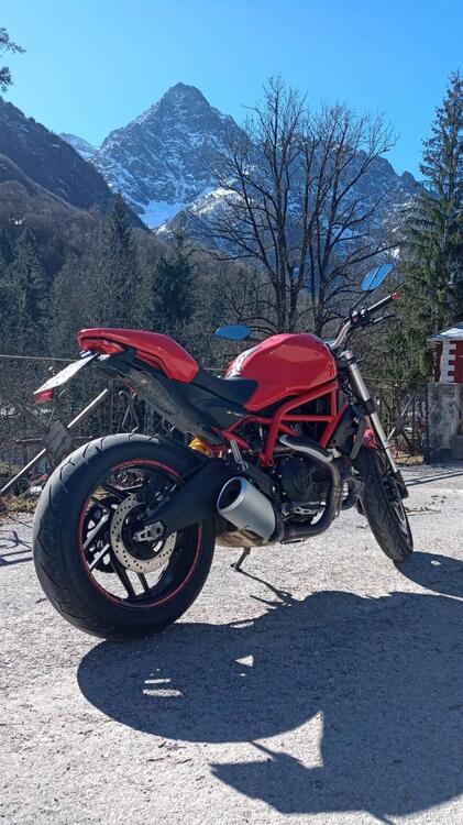 Ducati Monster 797 (2017 - 18) (4)
