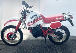Yamaha XT 600 Z Tenerè (1990 - 92) usata