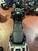 Voge Valico 500DS (2021 - 24) (6)