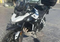 Triumph Tiger 900 GT Pro (2024 - 25) usata