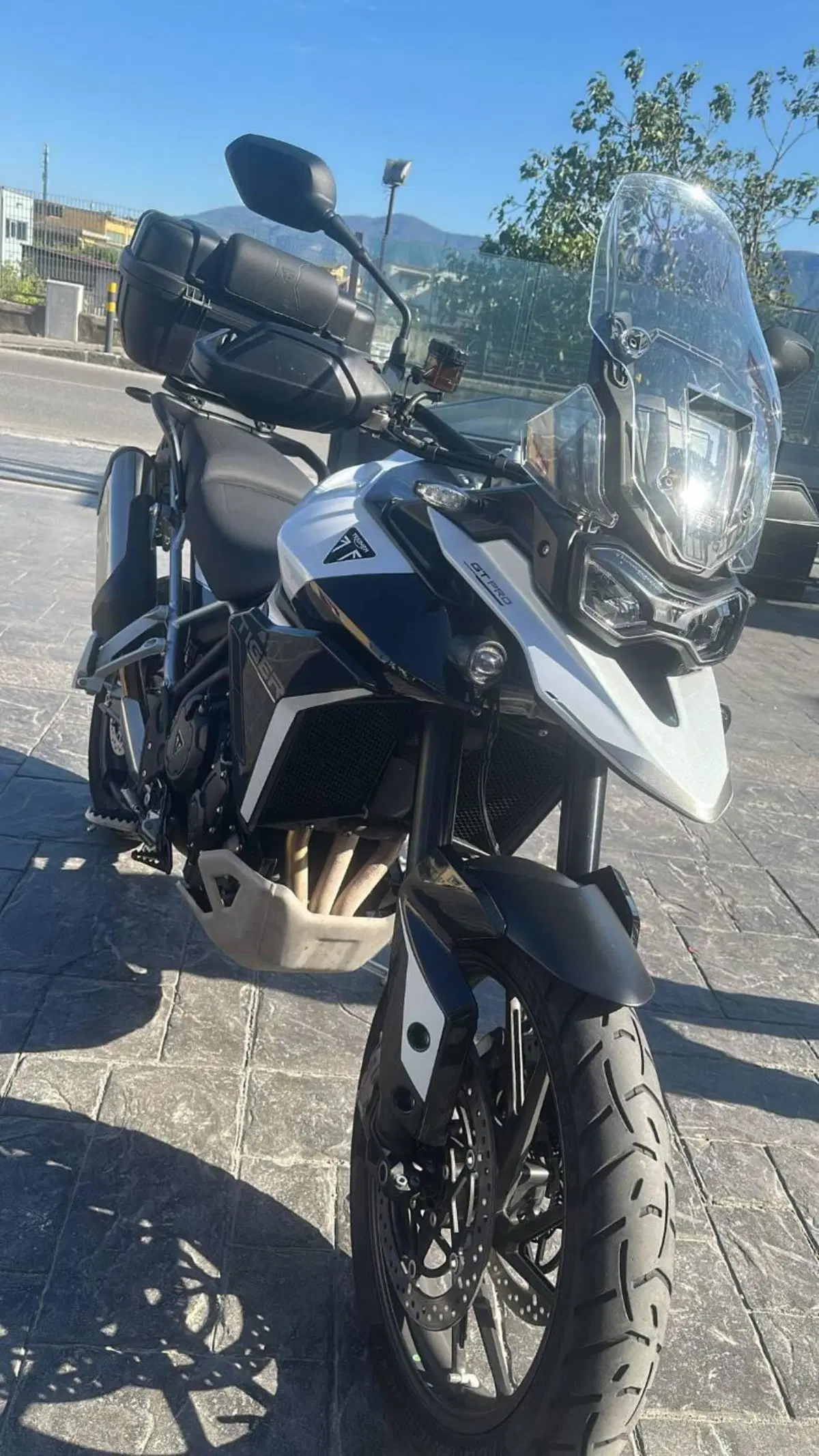 Triumph Tiger 900 GT Pro (2024 - 26) (4)