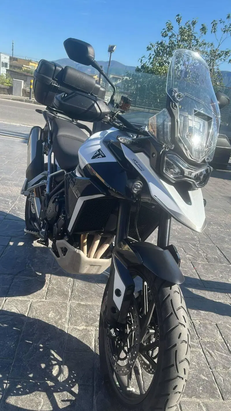 Triumph Tiger 900 GT Pro (2024 - 26) (4)