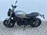 Benelli Leoncino 800 (2022 - 25) (8)