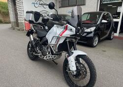 Ducati DesertX (2022 - 25) usata